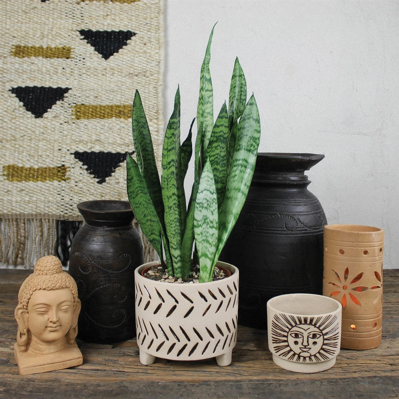 Carved Wood Pot, Dark - Med