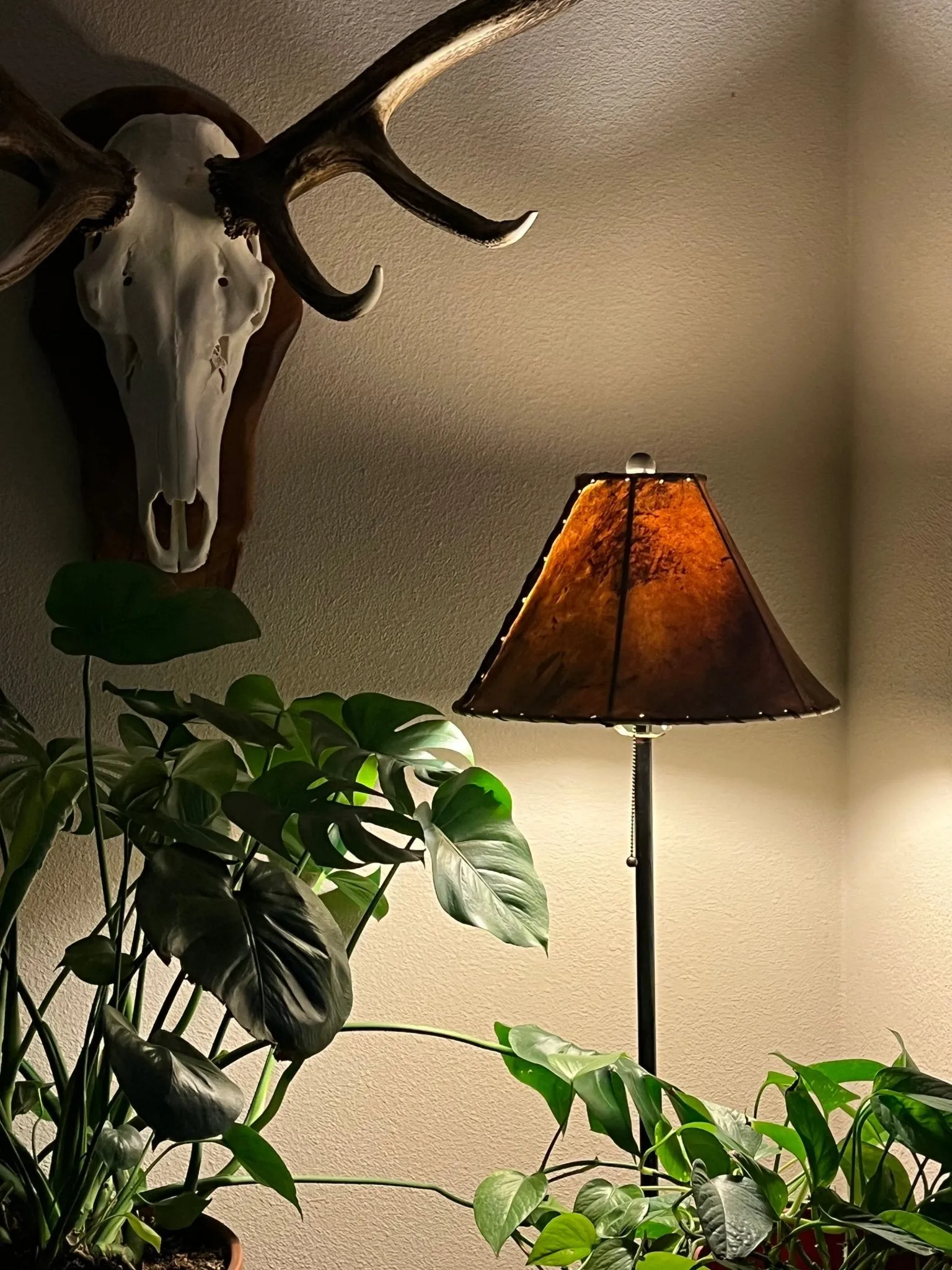 Handmade Genuine Rawhide Lamp Shades 3 Colors
