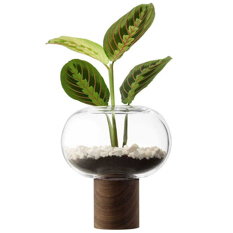 Oblate Vase, H21.5cm, Clear/Walnut
