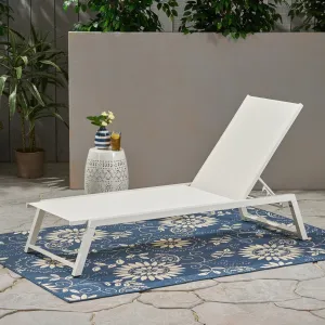 Outdoor Chaise Lounge with Finished Aluminum Frame - NH163303 patio chairs, outdoor seating