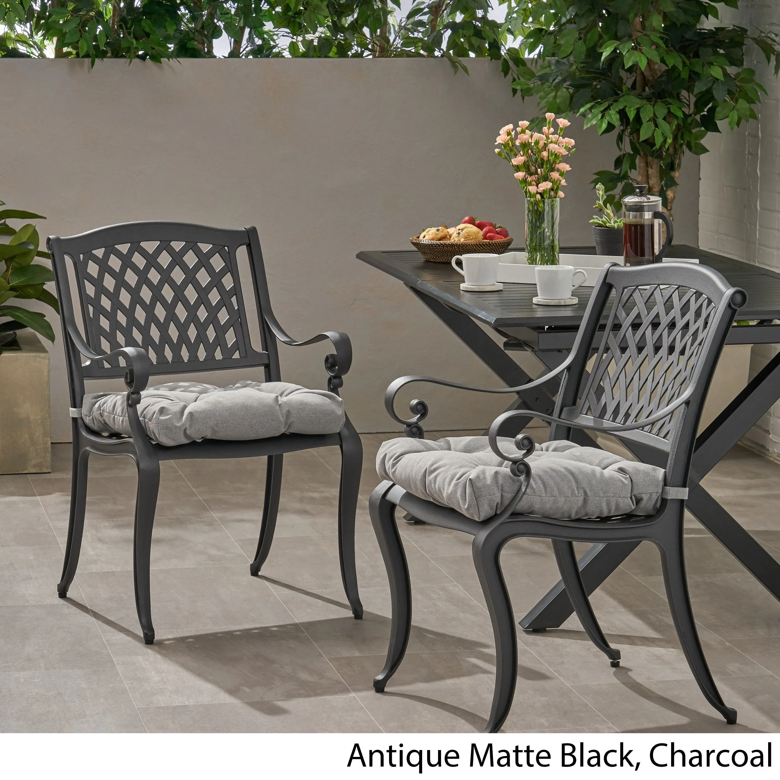 Outdoor Dining Chair with Cushion (Set of 2) - NH501013