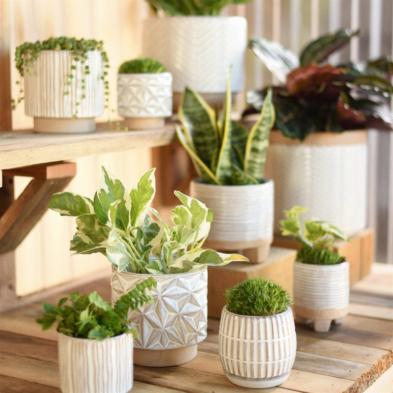 Ramos Vertical Stripe Cachepot, Stoneware - 4"