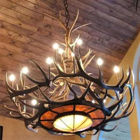 Rocky Mountain Elk Antler Chandelier