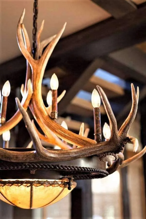 Rocky Mountain Elk Antler Chandelier